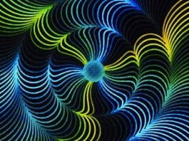 API, Hologramme, Holinique Boutique