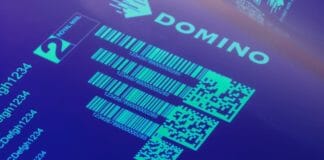 Domino