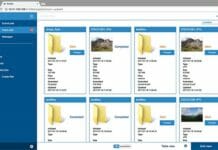 Enfocus, Switch, PDF-Überprüfungstool