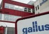 Gallus, Heidelberg