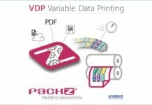 Hybrid Software, VDP,
