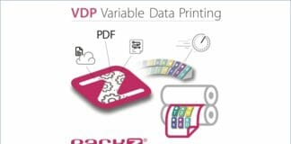 Hybrid Software, VDP,