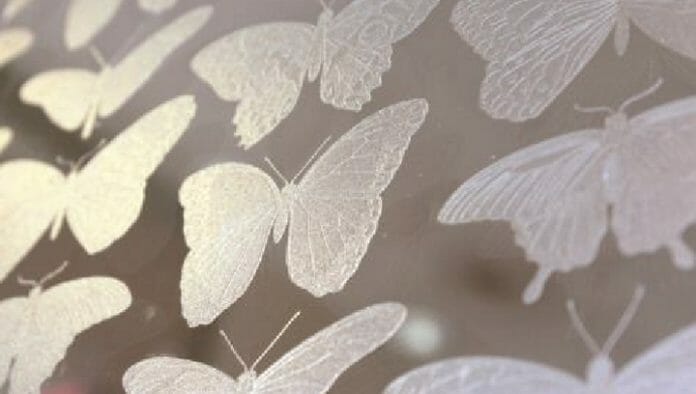 PROD_Mimaki_Matte finish on transparent film gives the appearance of frosted glass Mimaki