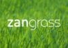 Zanders