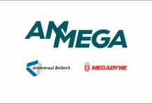 Ammega, Ammeraal Beltech, Megadyne