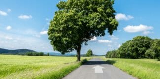Innoform Coaching