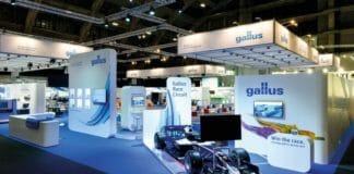 Gallus