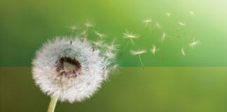 Global Graphics, Inkjet,