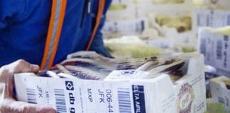 JIangsu Wampolet, Thermodirekt, Thermomaterialien,