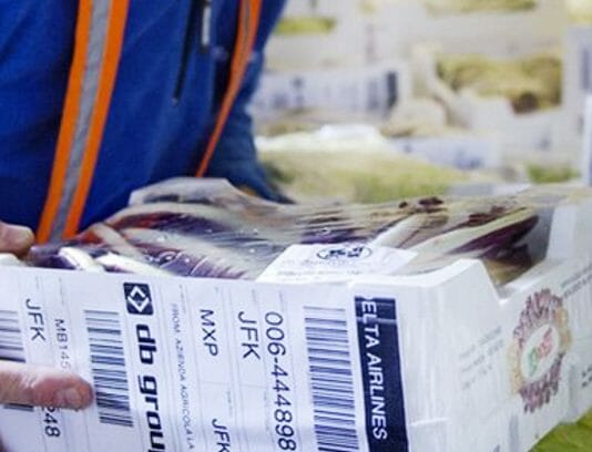 JIangsu Wampolet, Thermodirekt, Thermomaterialien,