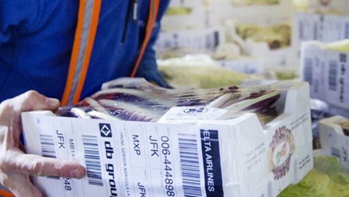 JIangsu Wampolet, Thermodirekt, Thermomaterialien,