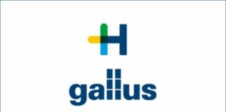 Gallus