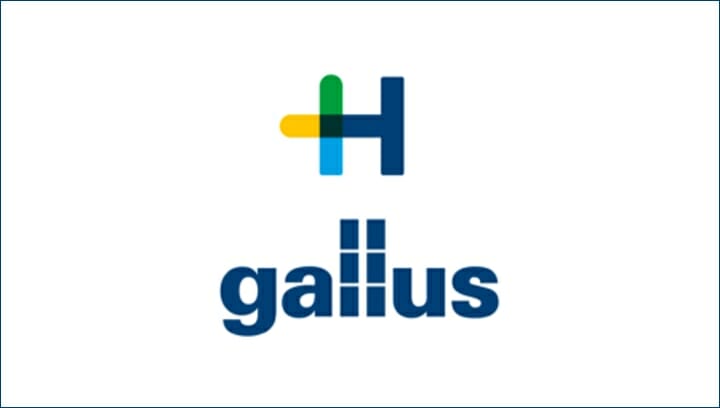 Gallus