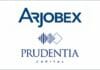 Arjobex, Polyart, Synthetisches Papier,