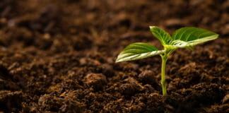 Herma, Haftverbunde, Etikettenmaterial,