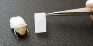 KIT, Polymerfolien, Folien, Titandioxid,