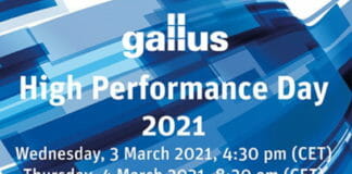 Gallus
