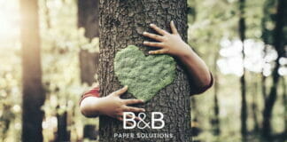 B&B Paper Solutions, Brigl & Bergmeister, Papirnica Vevce
