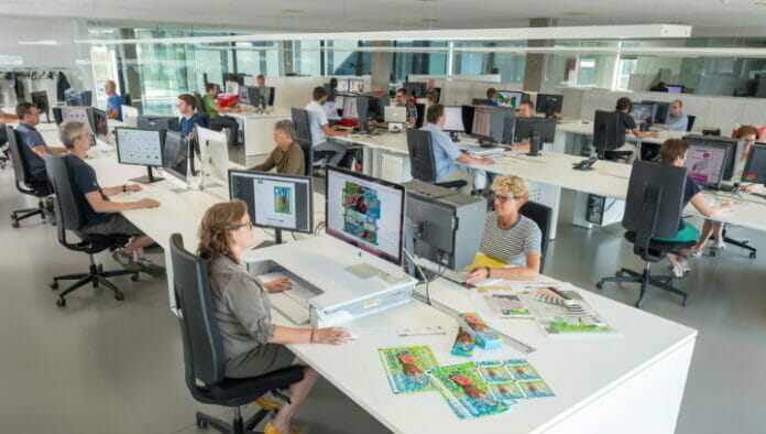 Hamillroad Software, Bellissima DMS, Athena Graphics,