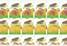 ISRA Vision, Inspektionssysteme,