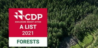 UPM, CDP, Klimaschutz,
