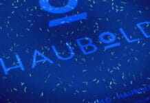 Haubold, Sicherheitsmaterialien, Fälschungsschutz,