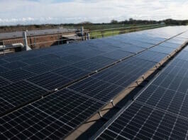 Fujifilm, Nachhaltigkeit,