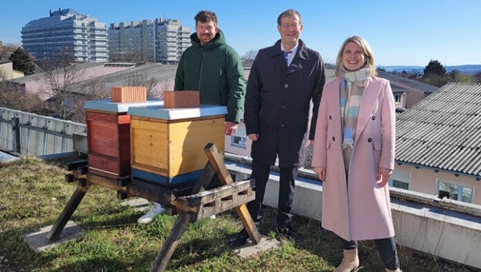 IND_HdM-Bienen HdM Hochschule der Medien Stuttgart,