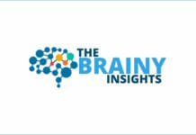 The Brainy Insights, Steinpapier, Stone Paper, Markstudien,