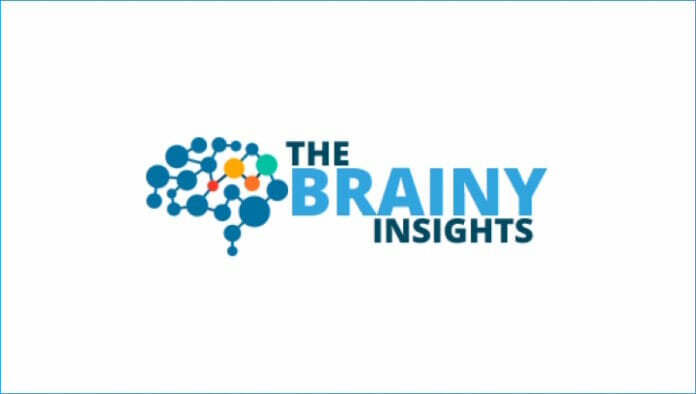 The Brainy Insights, Steinpapier, Stone Paper, Markstudien,