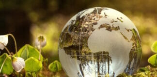 Sato, Klimaschutz,
