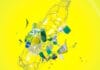 Flint Group, Primer, Lacke,