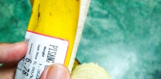 HERMA, Etikettenmaterial, Haftverbunde, Kompostierbarkeit