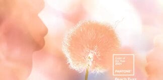 Farbe des Jahres, Pantone