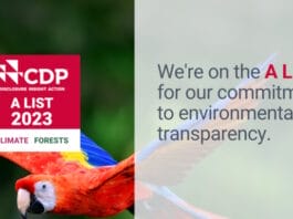 UPM, CDP, Klimaschutz,