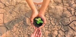 Constantia Flexibles, Financial Times, Klimaschutz,