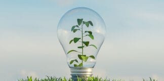 Lecta, Naturgy, Nachhaltigkeit, Erneuerbare Energie, Klimawandel,