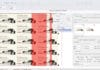 Hybrid Software, Canon,