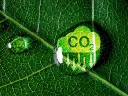 Lecta, Klimaschutz, Umweltschutz,