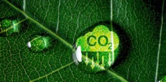 Lecta, Klimaschutz, Umweltschutz,
