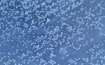 Marabu, Braille, UV-Lack, Siebdrucklack,