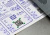 Domino Printing, Rückverfolgbarkeit, 2D-Codes, QR-Codes,