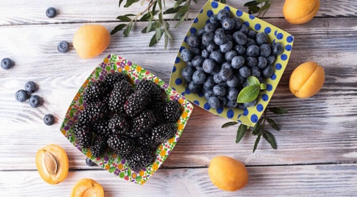 hubergroup, Flexodruckfarbe, wasserbasierte Flexofarben, Überdrucklack,