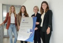 Wink, Ausbildung,