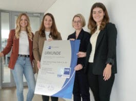 Wink, Ausbildung,