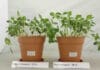 Cortec, biologisch abbaubare Folien, Eco Works 100, kompostierbare Folien,