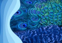 Sappi Europe, Barrierepapier,