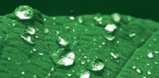 Organik Kimya, Klebstoffe,