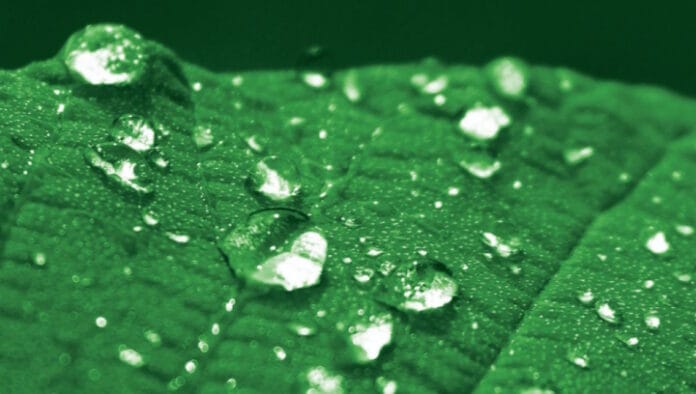 Organik Kimya, Klebstoffe,