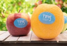 TIP Compostable Packaging, Bio4Life, kompostierbare Folien,